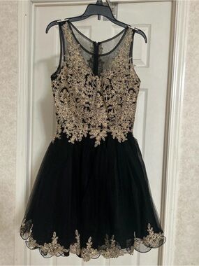 Black Tulle Dress with Gold Appliqué